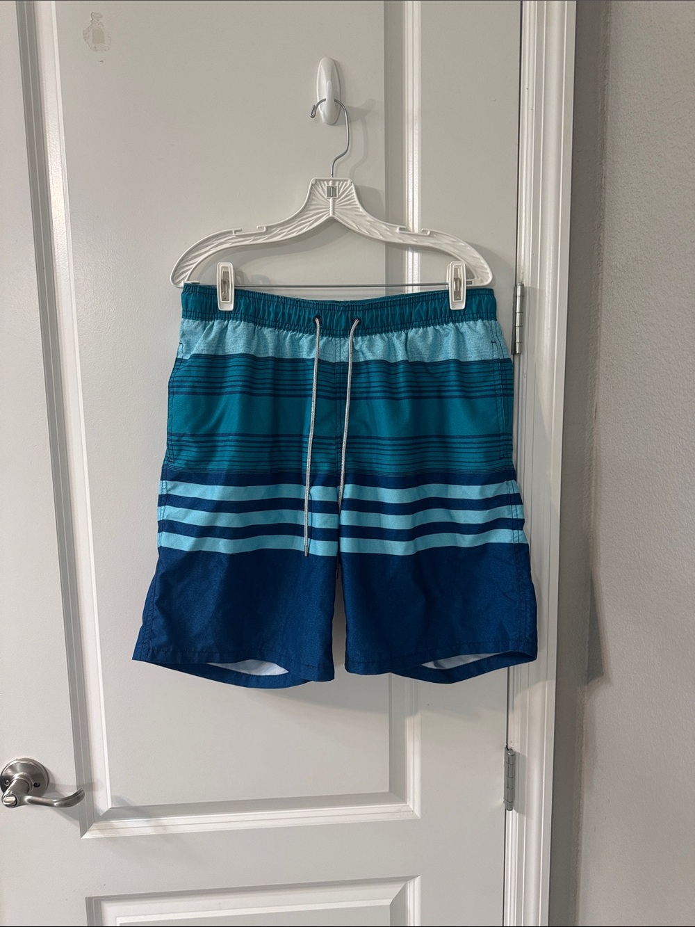 Kirkland Signature Teal Mesh-Lined Swim Shorts